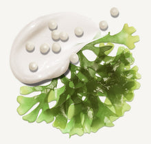 Load image into Gallery viewer, Eye Authority Eye Cream Dark Circles, Puffiness, Fine Lines