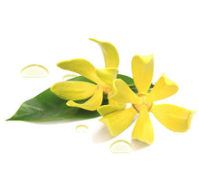 Load image into Gallery viewer, Moisture Reset Phytonutrient Facial Oil