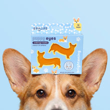 Load image into Gallery viewer, Puppy Eyes Corgi Shaped Brightening Eye Patches | 10 Pack - The Boutique by Sour Apple Beauty Bar
