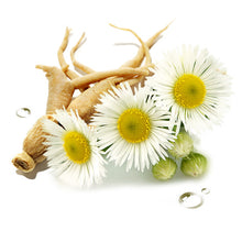 Load image into Gallery viewer, Pre-Treatment Toner Balance &amp; Brighten
