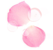Load image into Gallery viewer, Cashmere Cleanse Facial Rose Milk
