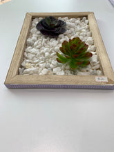Load image into Gallery viewer, Mini Succulent Rock Garden - The Boutique by Sour Apple Beauty Bar
