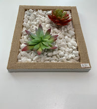 Load image into Gallery viewer, Mini Succulent Rock Garden - The Boutique by Sour Apple Beauty Bar
